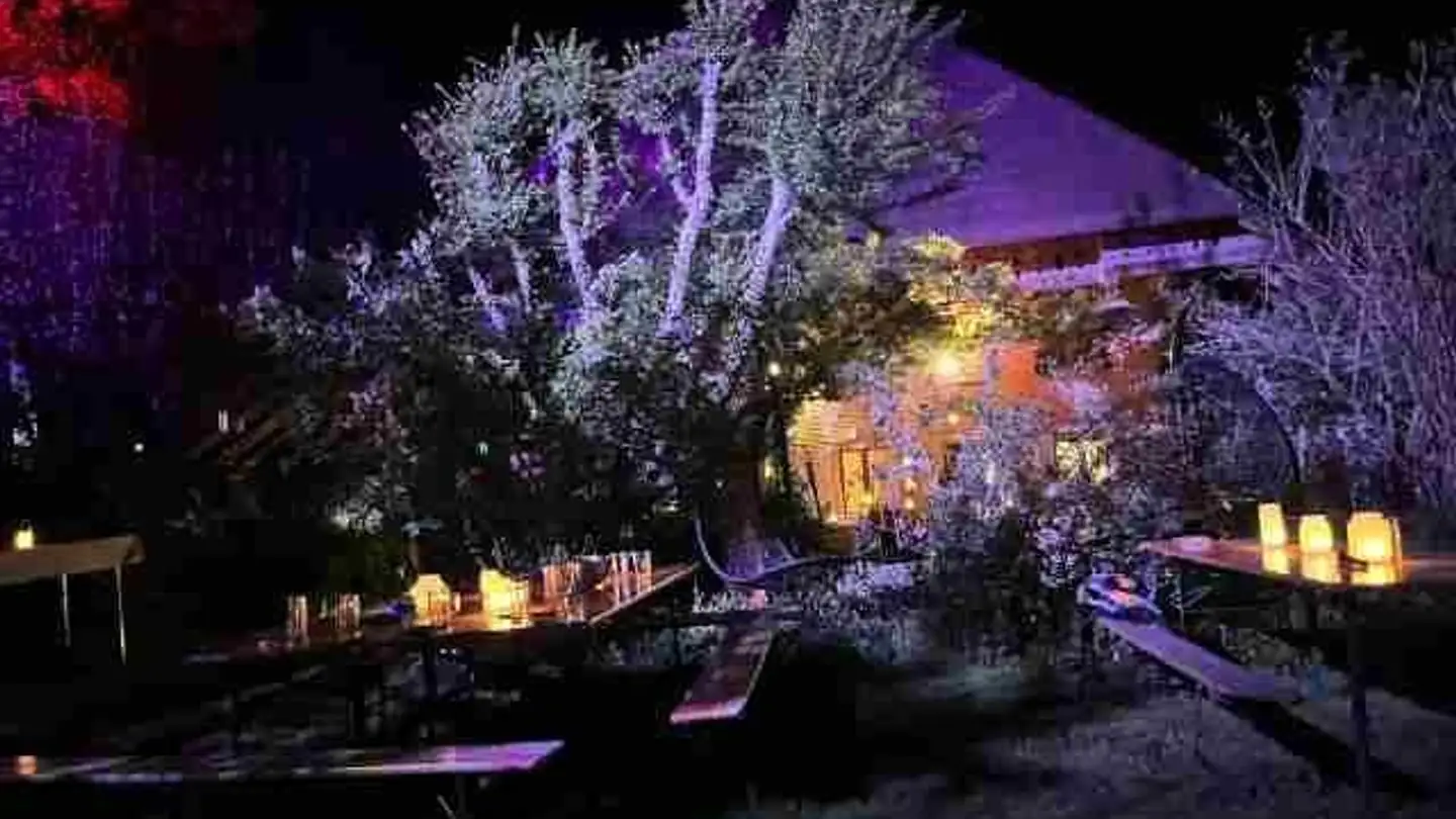 Chambre à louer - Kohlholz 22, 4952 Eriswil - Photo 2