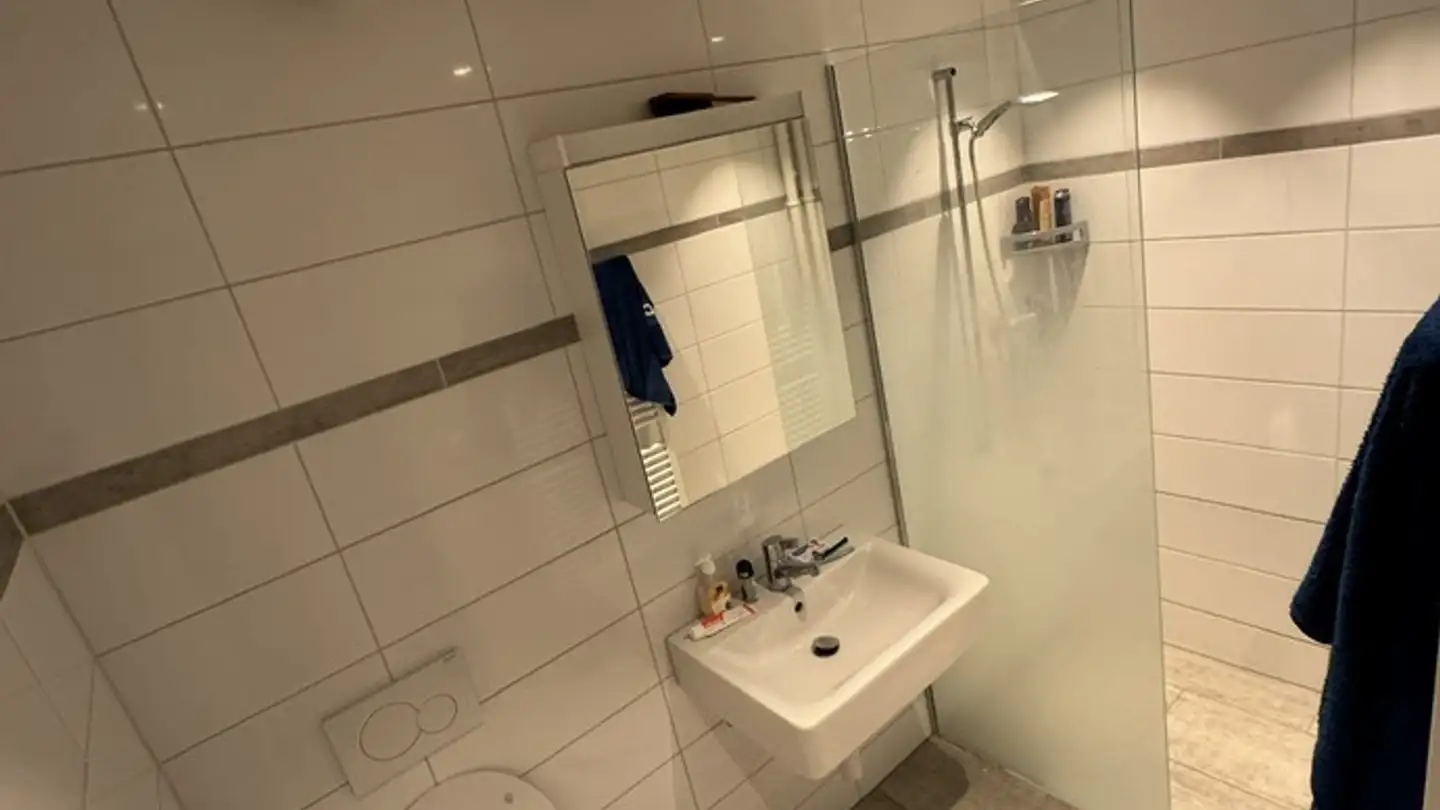 Wohnung mieten - Wuhrstrasse 18, 8003 Zürich - Foto 3