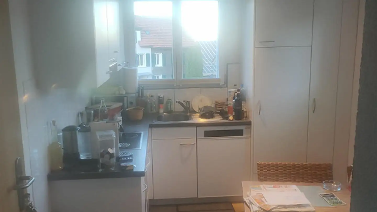 Appartement à louer - Alte St. Gallerstrasse 2, 9325 Roggwil TG