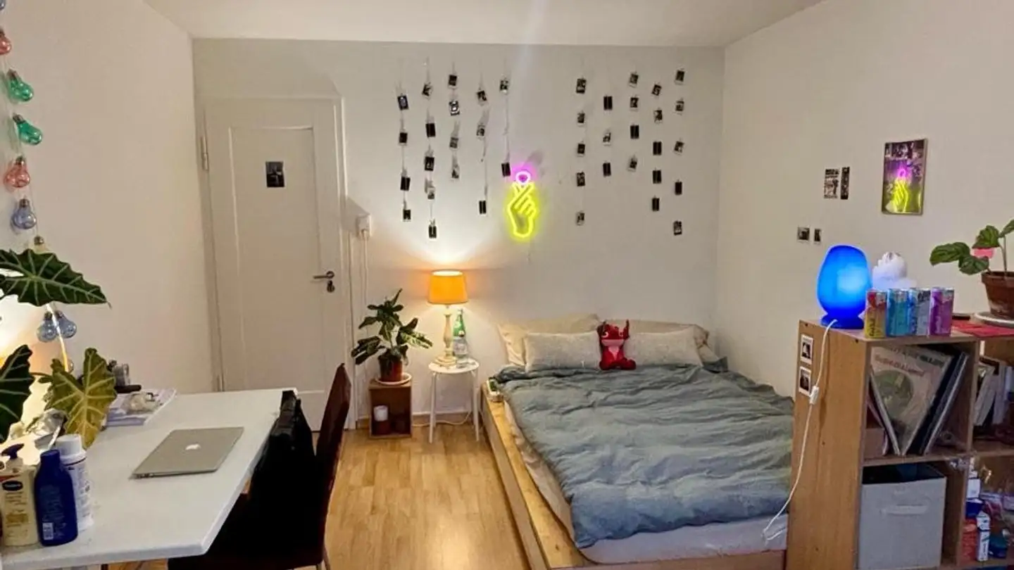 Stanza singola in affitto - 8046 Zürich