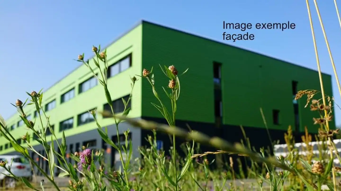 Commercial for rent - Chemin Des Taborneires 4, 1350 Orbe - Photo 2