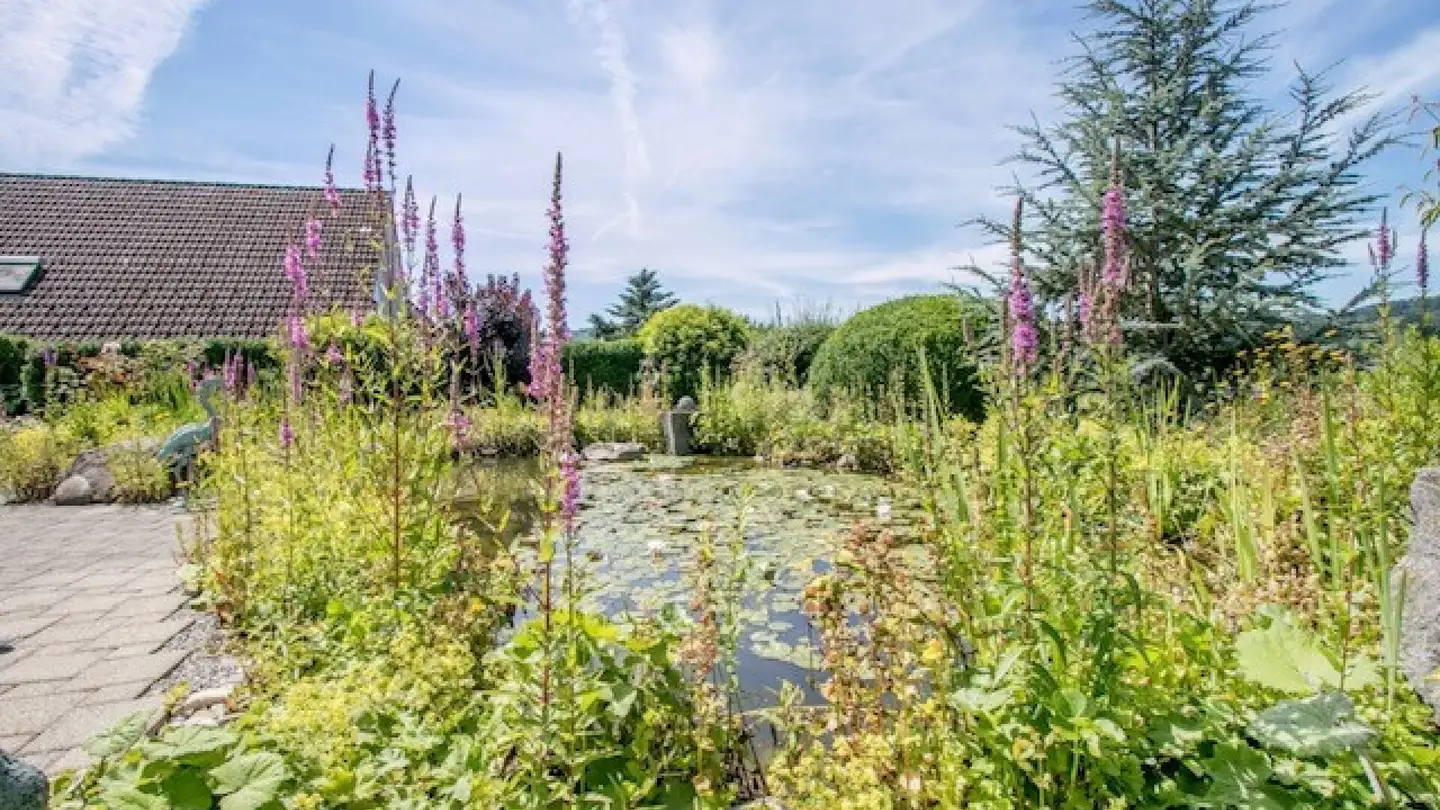 Einfamilienhaus kaufen - Im Haller 10, 8424 Embrach - Foto 3