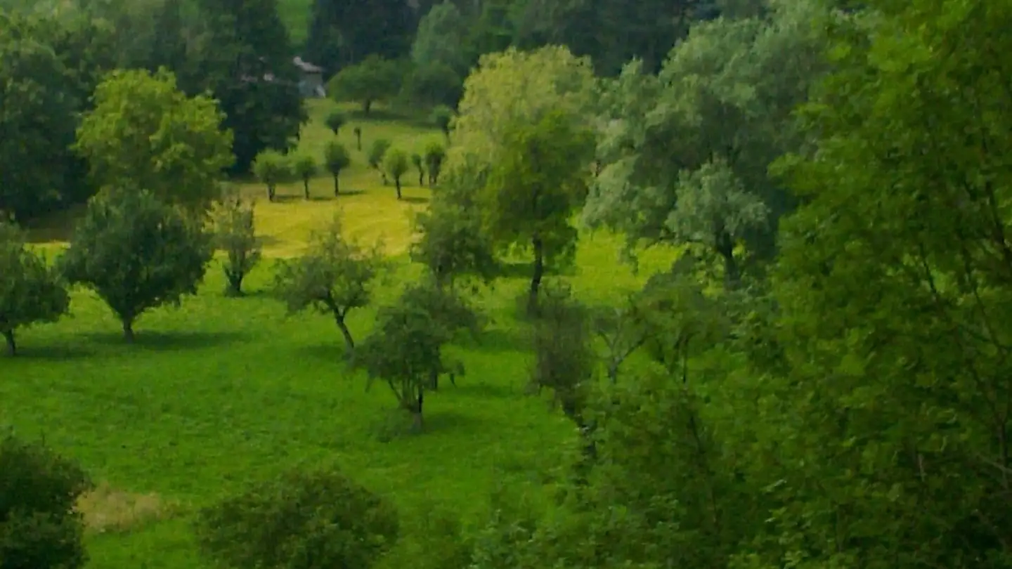 Appartamento in affitto - Via Al Convento 23, 6954 Sala Capriasca