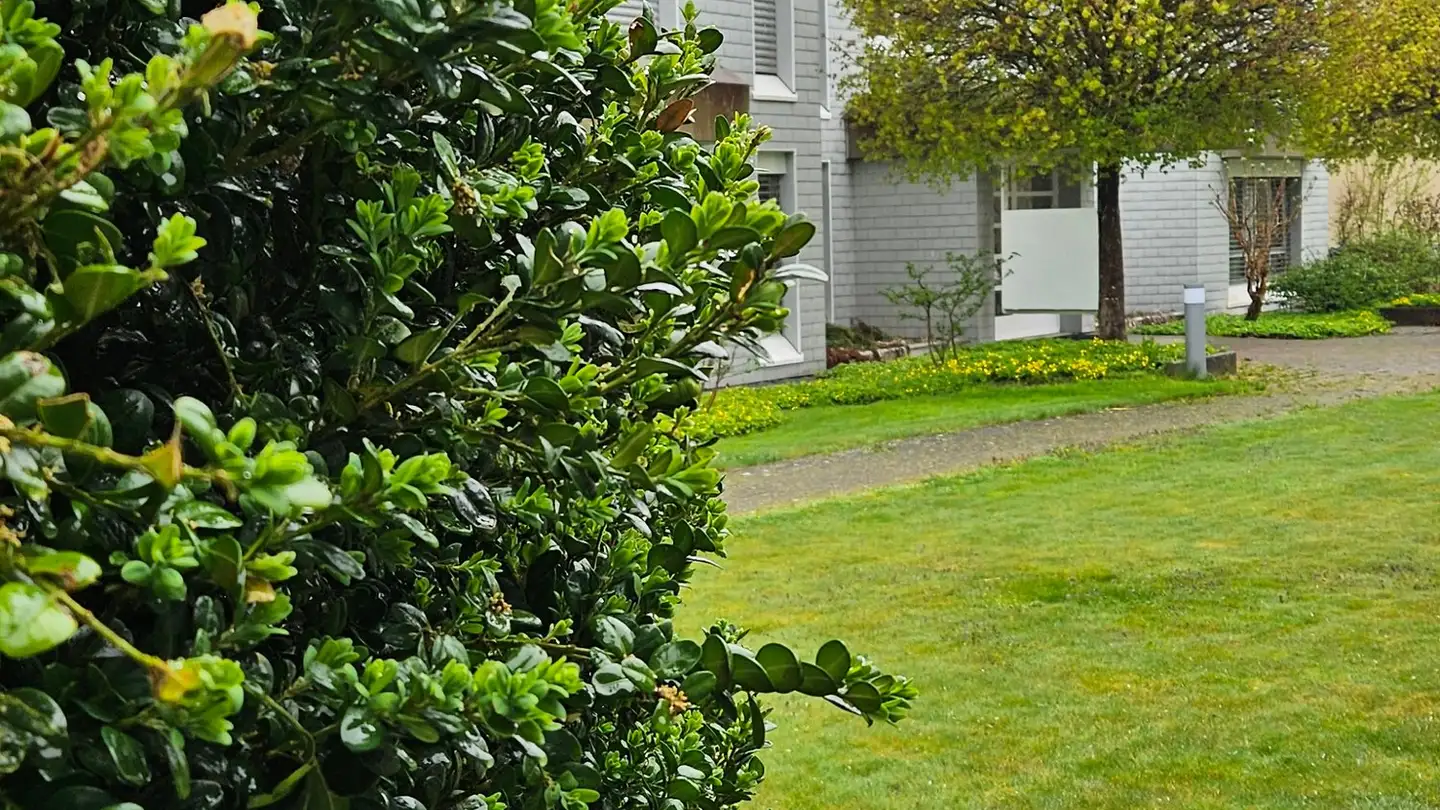 Appartement à louer - Feldeggstrasse 22, 3322 Urtenen-Schönbühl