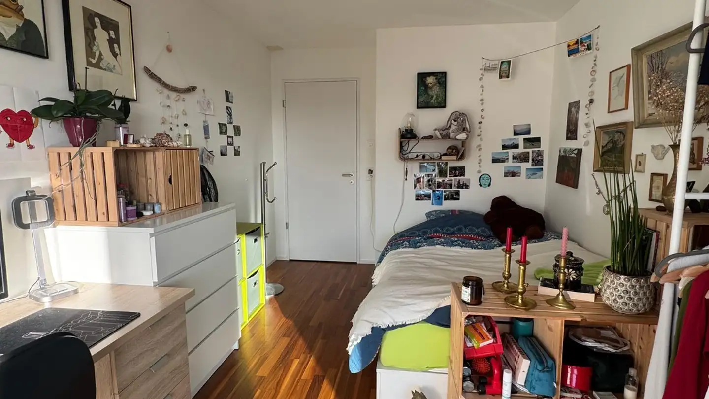 Stanza singola in affitto - 8952 Schlieren