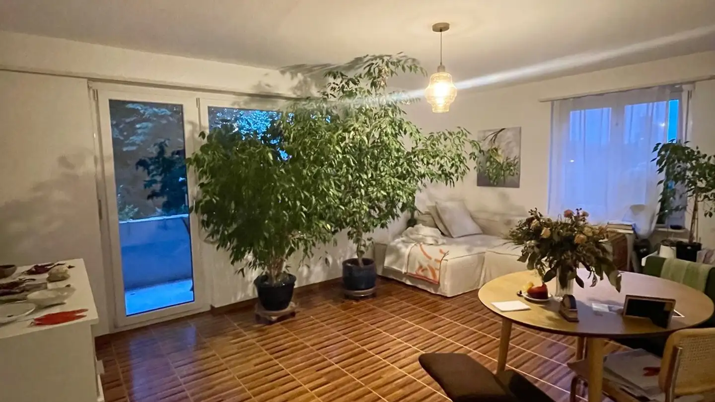 Chambre à louer - 8400 Winterthur