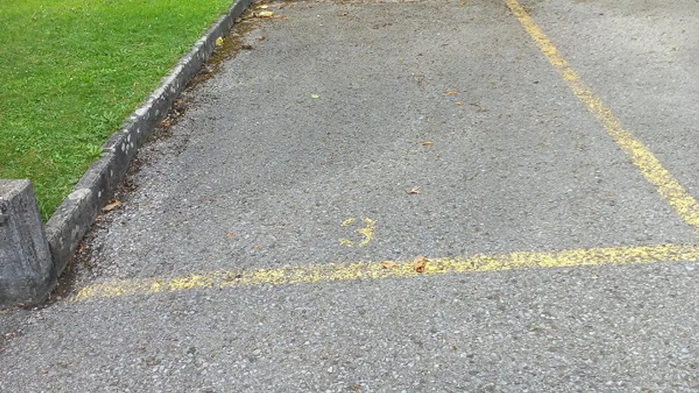 Parcheggio esterno in affitto - Rosenweg 6, 6060 Sarnen - Photo 2