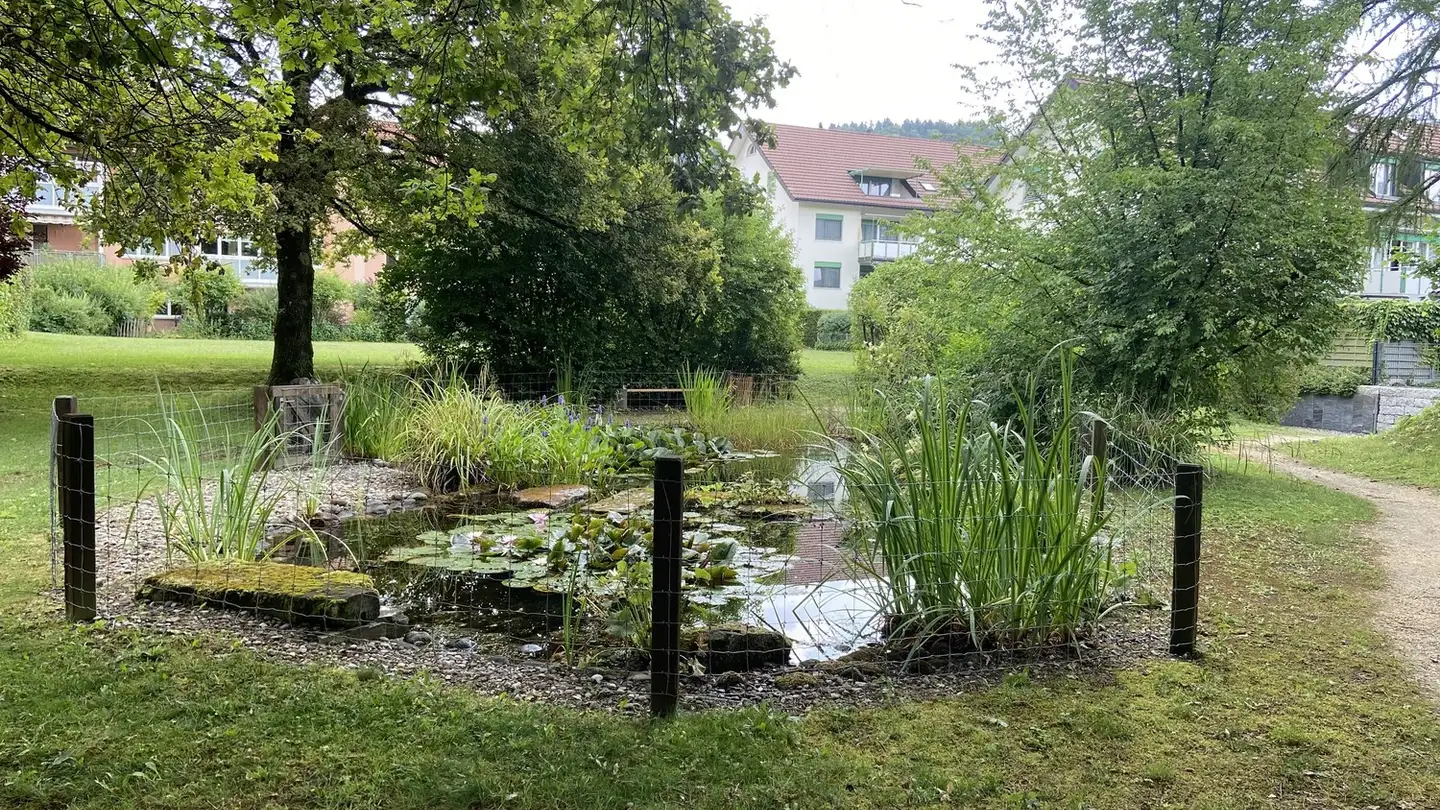 Appartamento in affitto - 8486 Rikon im Tösstal - Photo 2