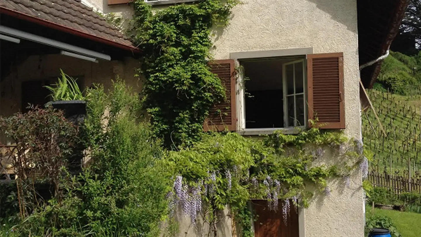 Einfamilienhaus mieten - Stokarweg 3, 8200 Schaffhausen - Foto 2
