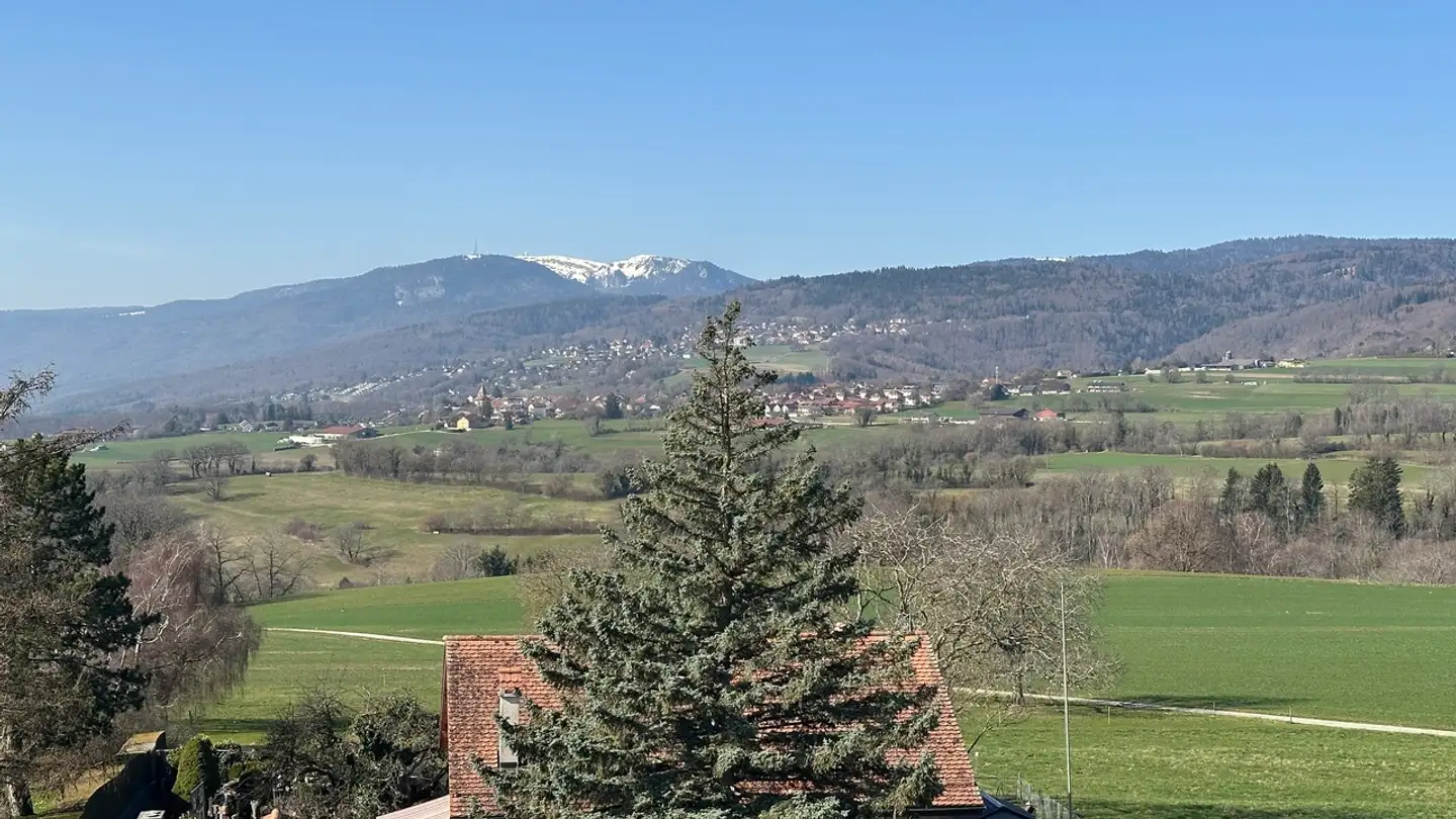 Apartment for sale - Route Des Matagasses 90, 1268 Burtigny - Photo 4