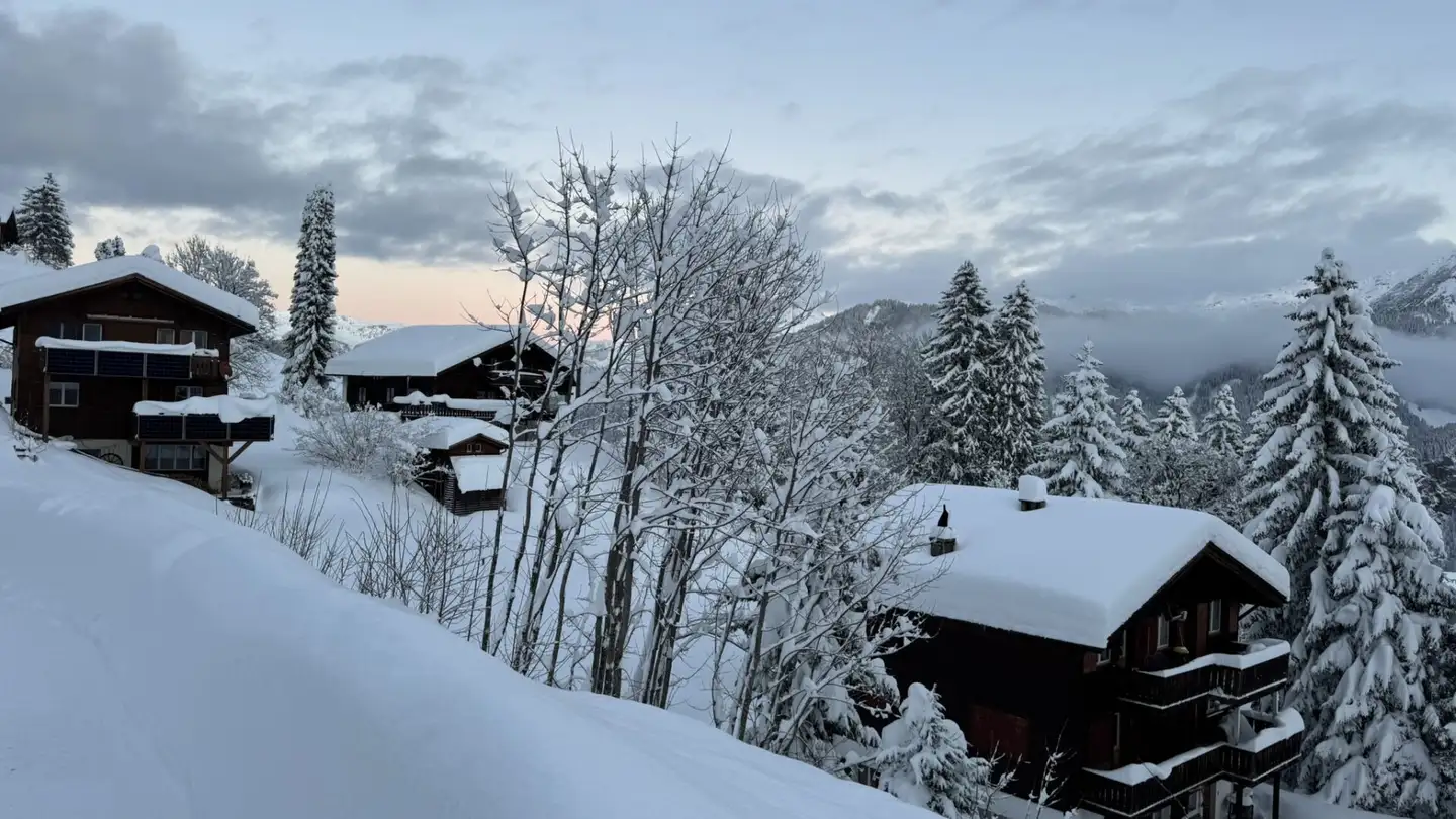 Casa singola in vendita - Berglistrasse, 8784 Braunwald - Photo 2