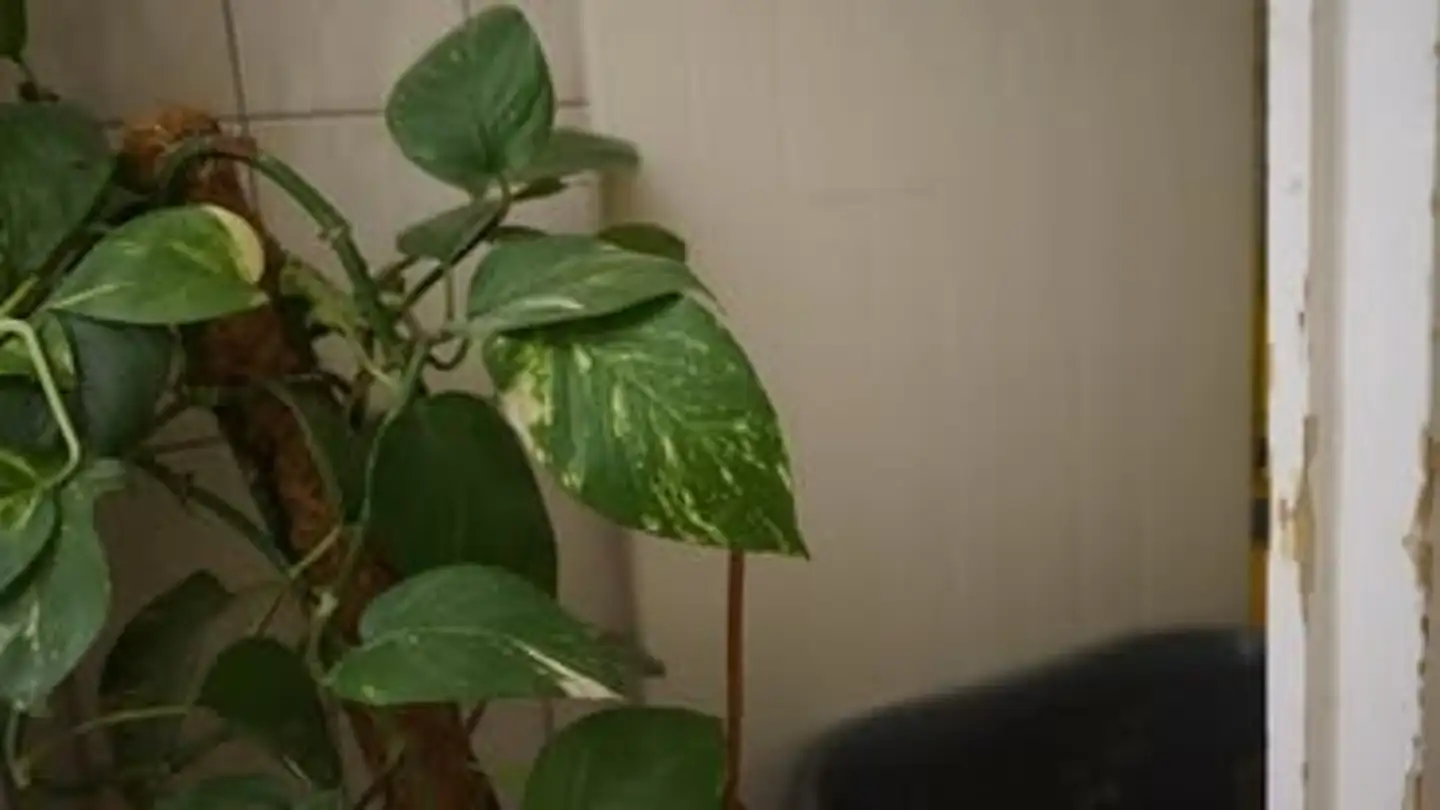 Wohnung mieten - 8045 Zürich - Foto 4