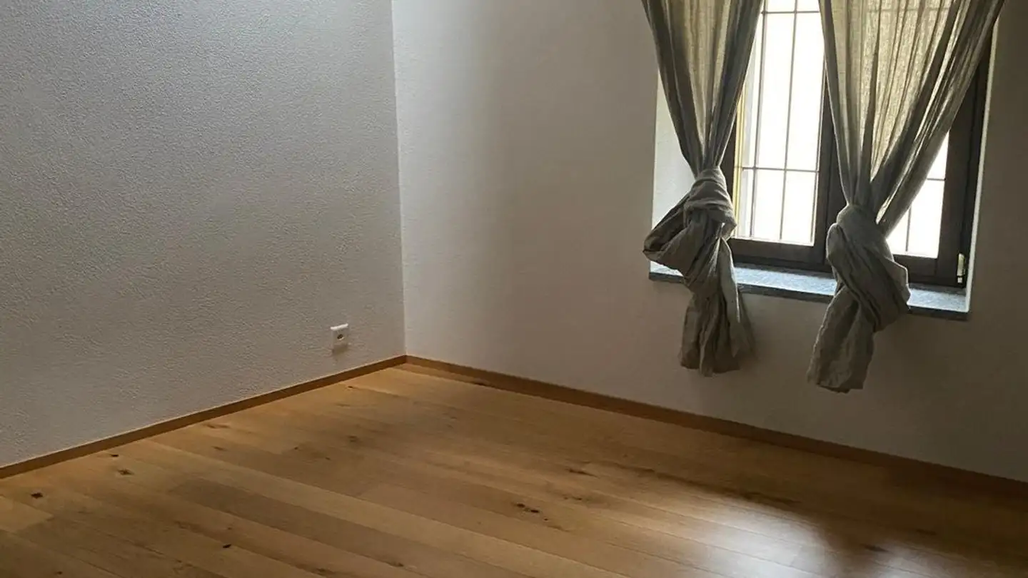 Penthouse for rent - 6945 Origlio - Photo 3