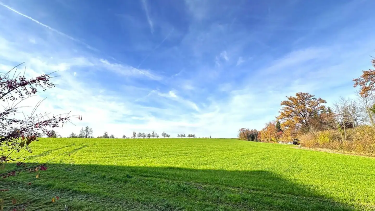 Apartment for rent - Romanshornerstrasse 247a, 8580 Hefenhofen