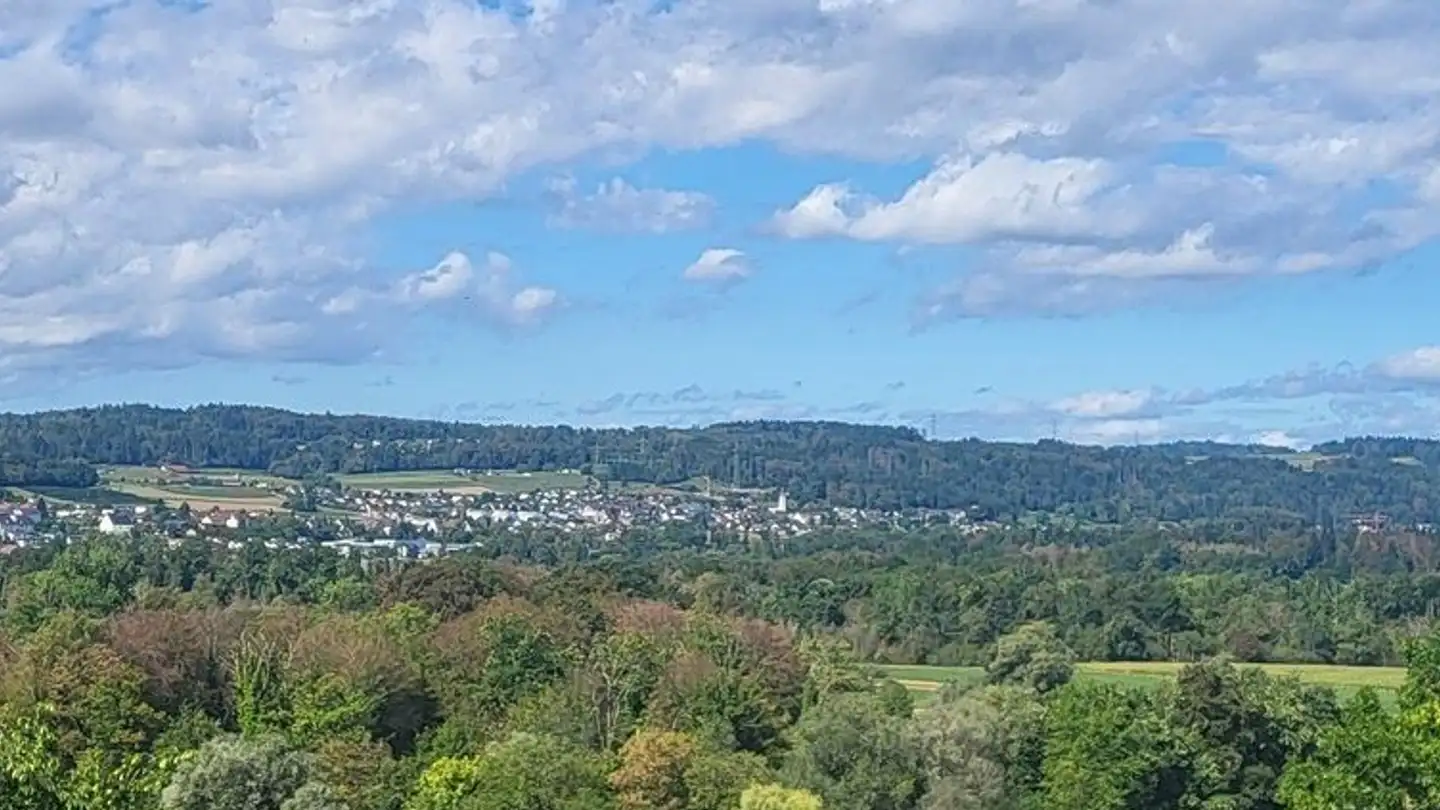 Constructible plot for sale - Badenerstrasse, 5445 Eggenwil