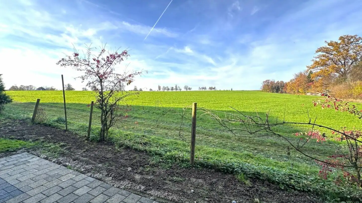 Apartment for rent - Romanshornerstrasse 247a, 8580 Hefenhofen - Photo 2