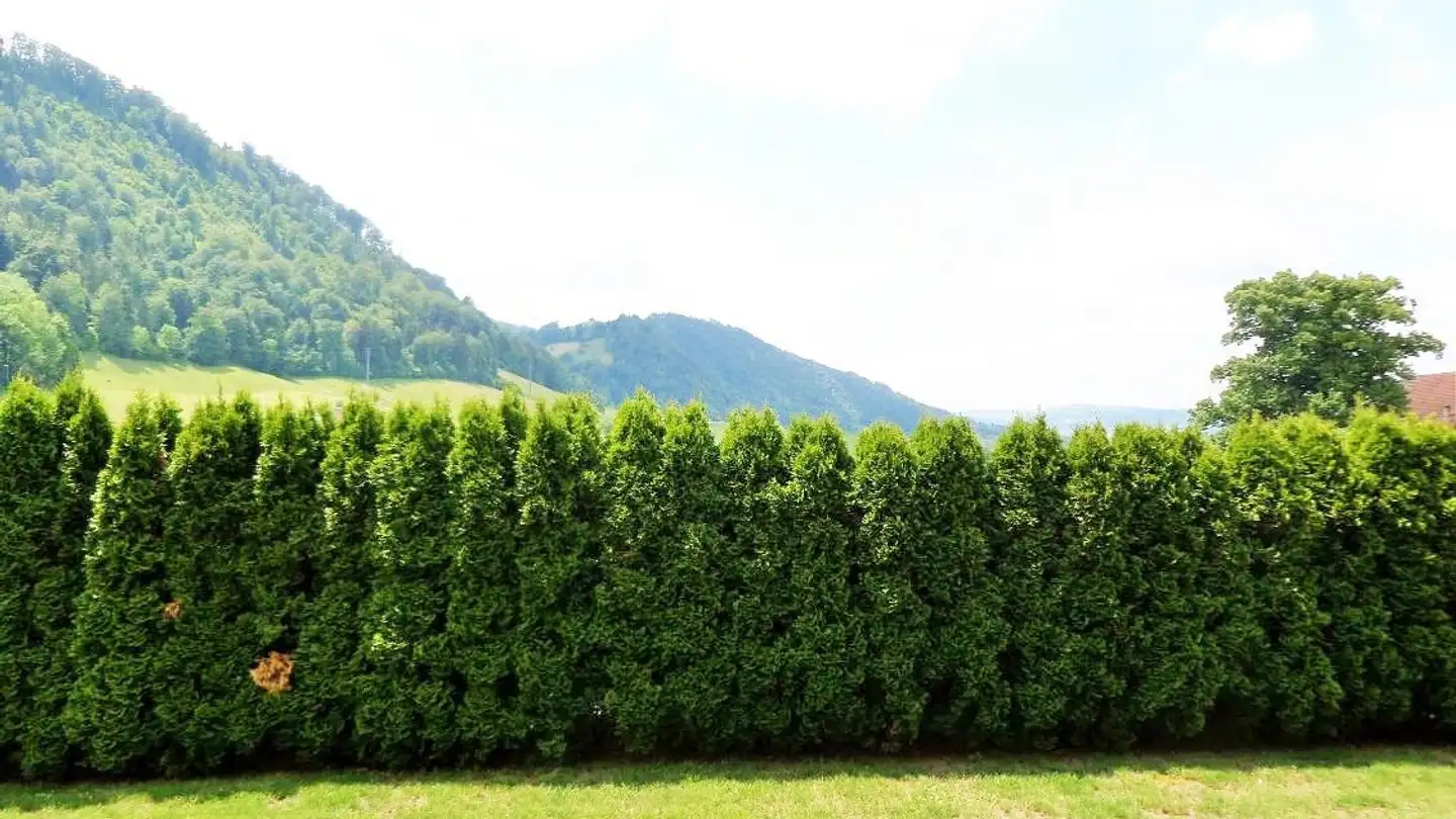 Appartement à louer - Bennenegg 36, 6014 Luzern - Photo 3