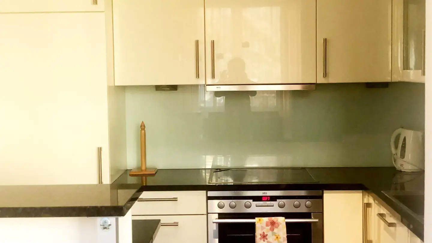 Furnished apartment for rent - Wiesengrundstrasse 4, 8942 Oberrieden - Photo 2