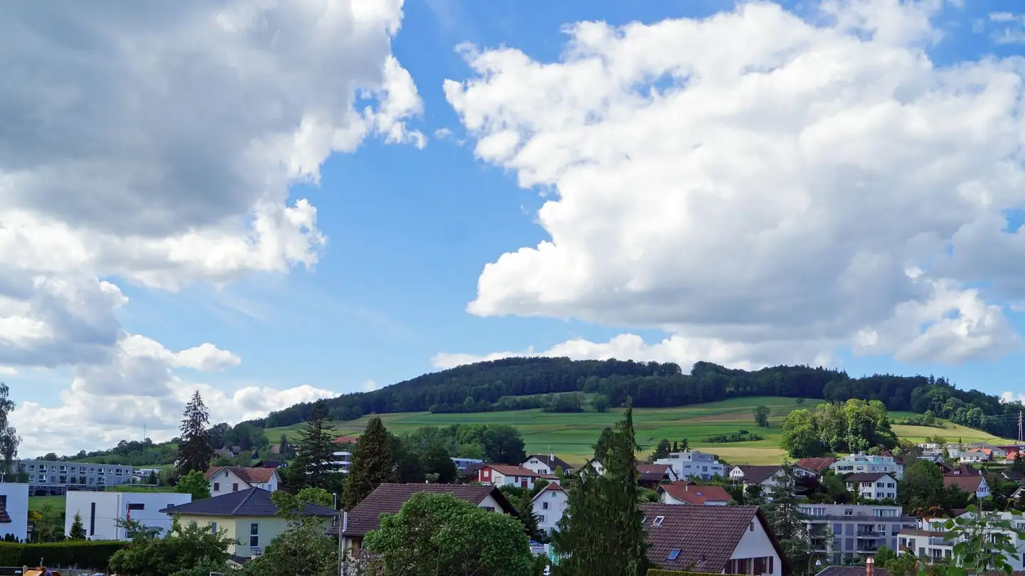 Casa singola in vendita - 5712 Beinwil am See - Photo 3