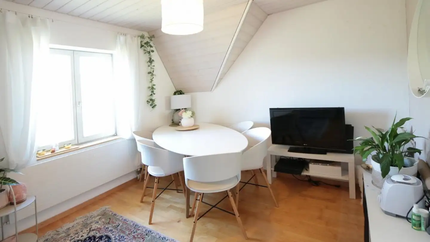 Casa singola in vendita - Kronenhalde 19, 8200 Schaffhausen - Photo 3