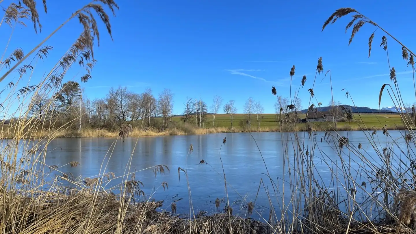 Villa for sale - Obere Kirchenzelg, 3115 Gerzensee - Photo 4