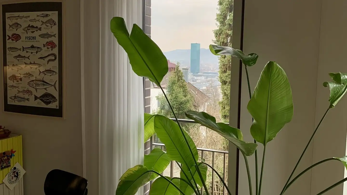 Appartamento in affitto - Griesernweg 28, 8037 Zürich - Foto 4