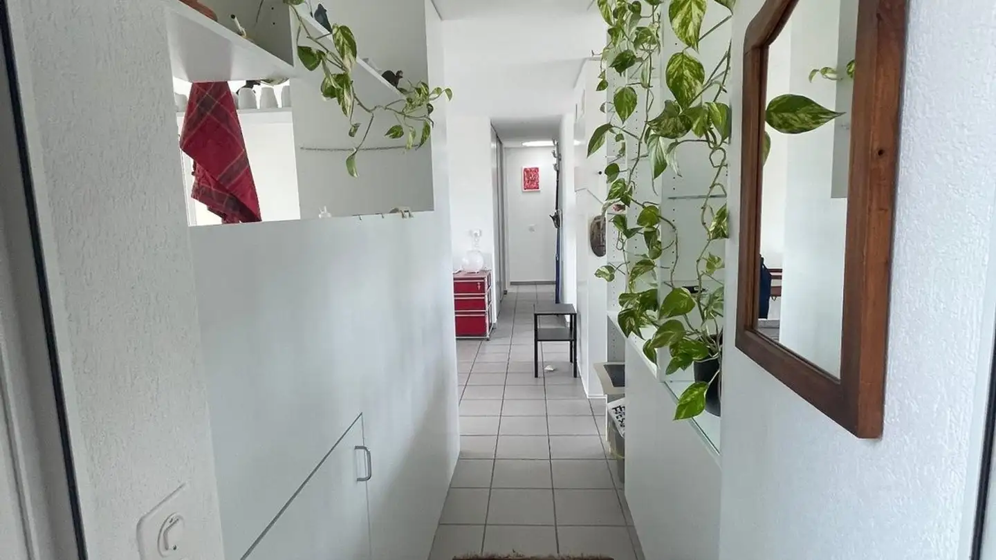 Appartamento in affitto - 3176 Neuenegg