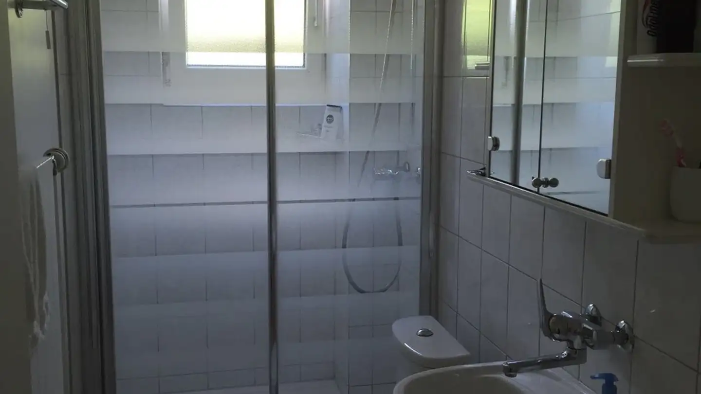 Single room for rent - Hönggerstrasse 291, 8105 Regensdorf - Photo 4
