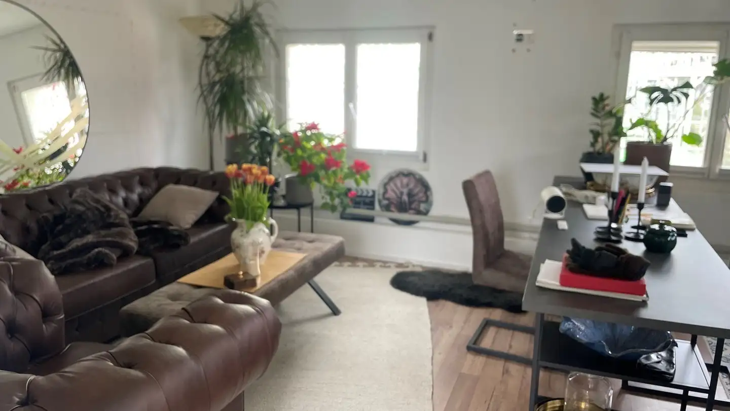 Appartamento in affitto - Schlossbergstrasse 7, 8820 Wädenswil