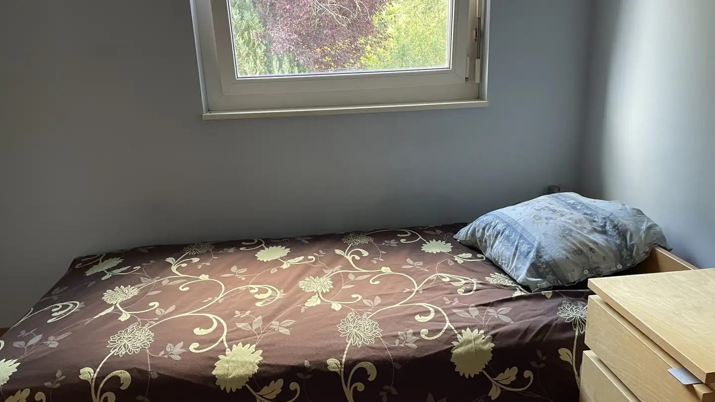 Stanza singola in affitto - Chemin De La Charrue 3, 1218 Le Grand-Saconnex - Foto 3