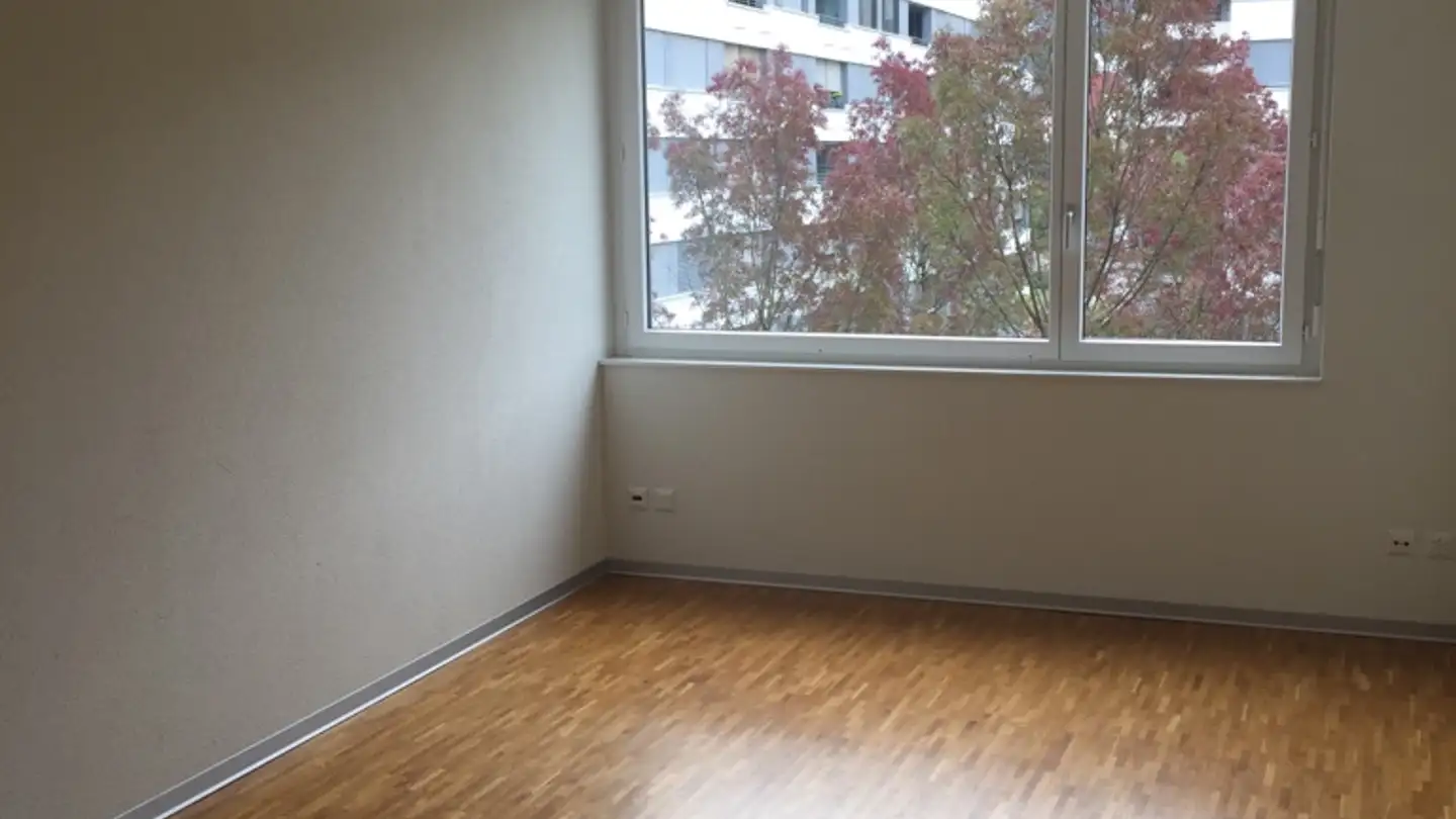Wohnung mieten - Engstringerstrasse 6, 8952 Schlieren - Foto 4