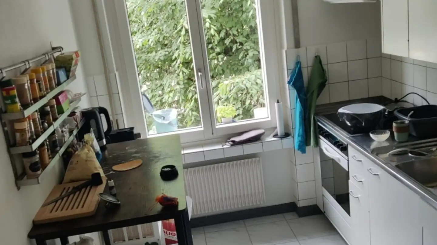 Wohnung mieten - Stodolastrasse 7, 8053 Zürich - Foto 3