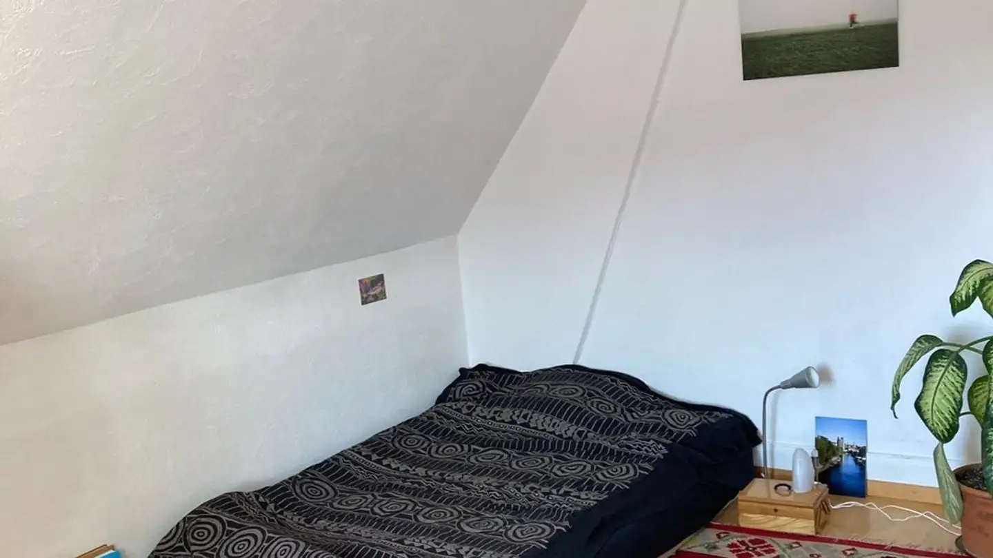 Single room for rent - Zelgstrasse, 8003 Zürich - Photo 2