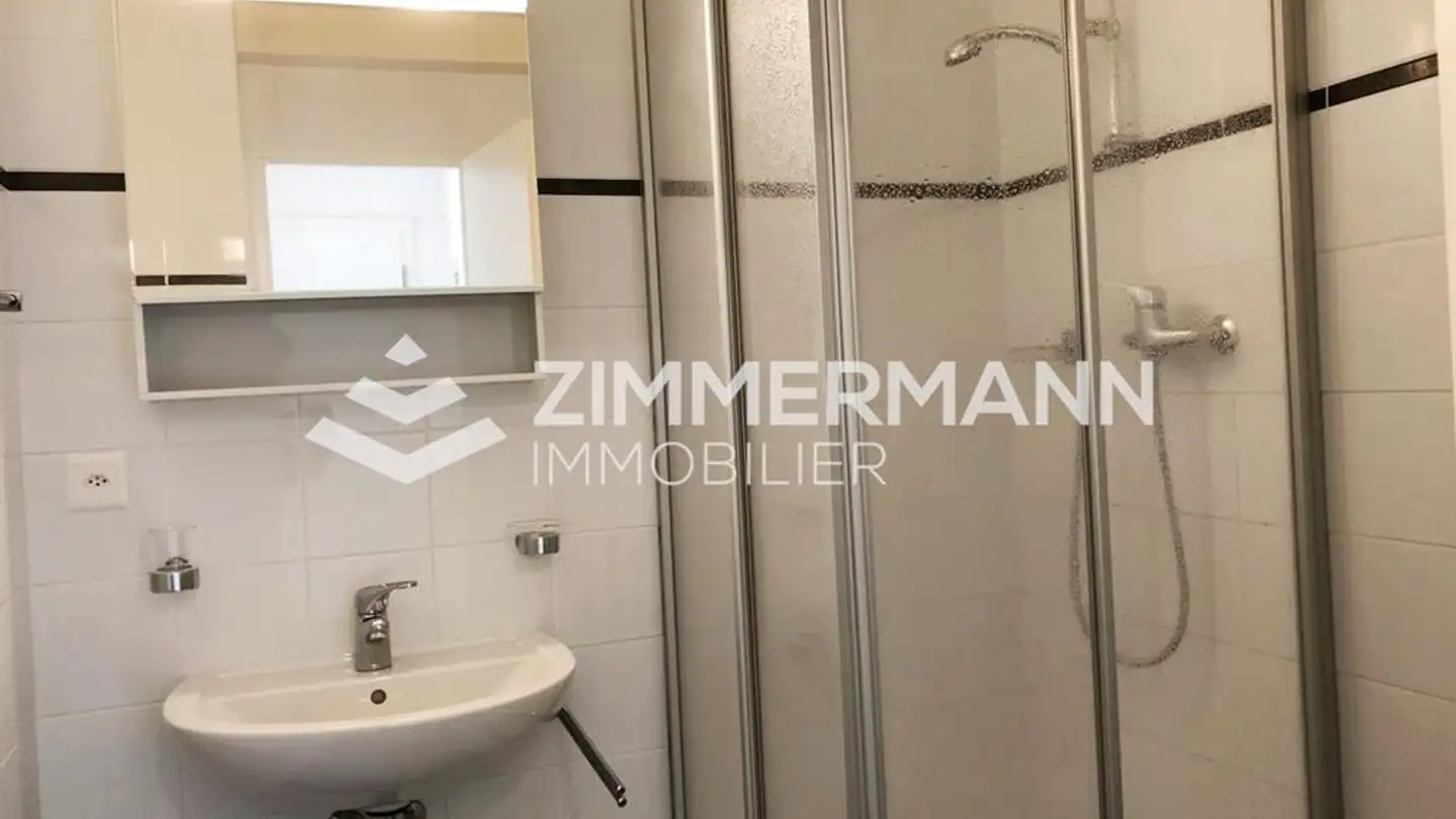 Wohnung mieten - Route Du Grand-Lancy, 1212 Grand-Lancy - Foto 4