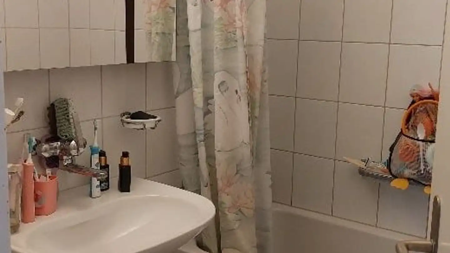 Appartement à louer - Untere Geerenstrasse 41a, 8600 Dübendorf - Photo 2