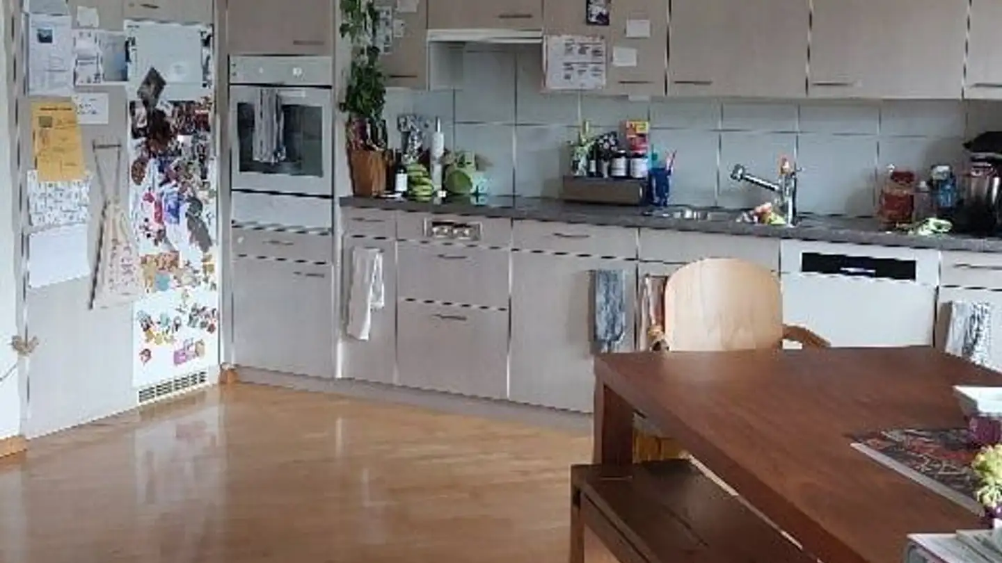 Appartement à louer - Untere Geerenstrasse 41a, 8600 Dübendorf - Photo 3