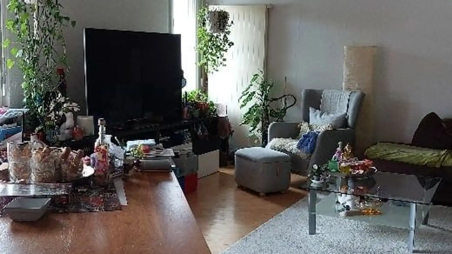 Appartement à louer - Untere Geerenstrasse 41a, 8600 Dübendorf - Photo 4