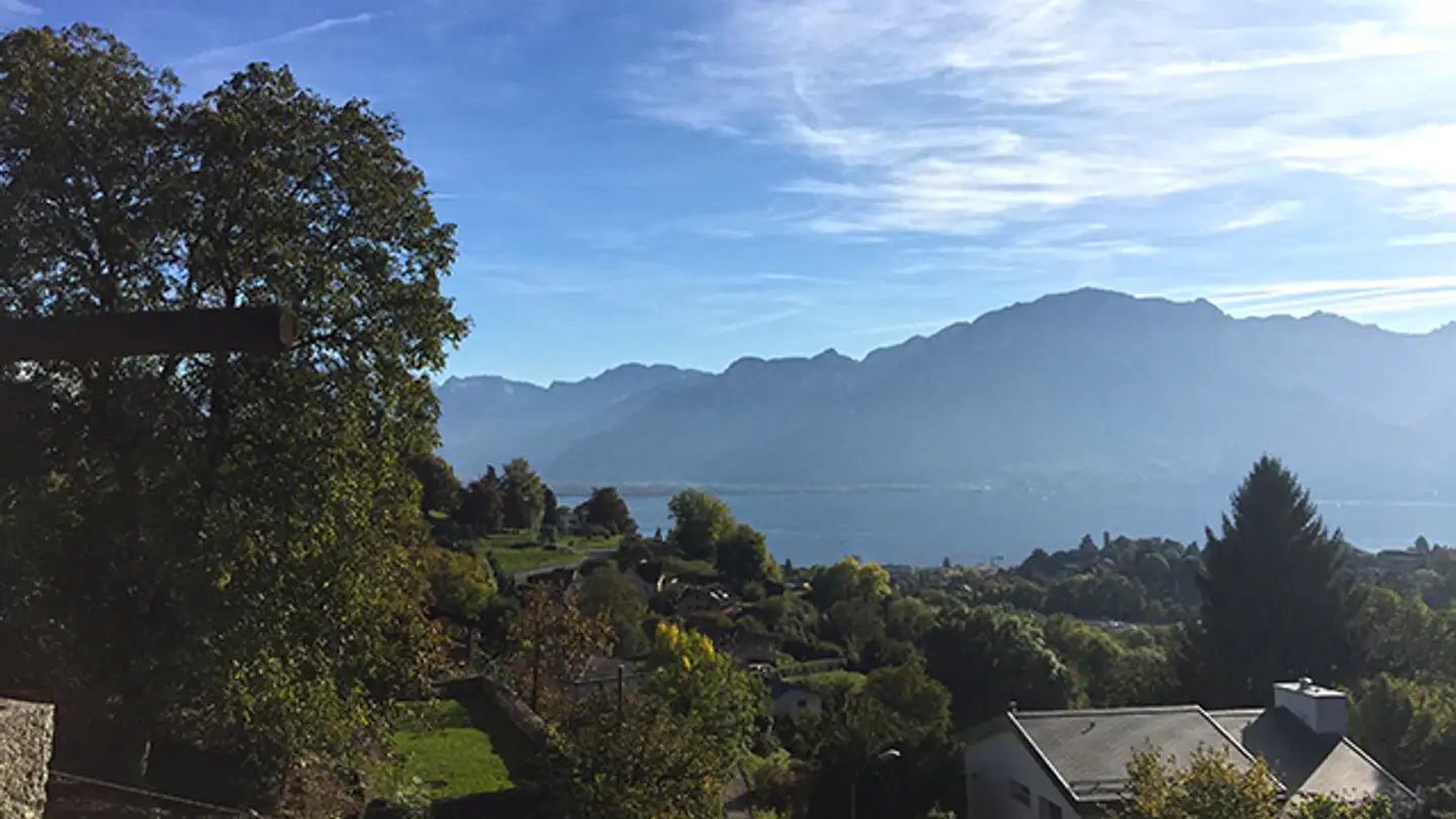 Duplex for sale - 1807 Blonay