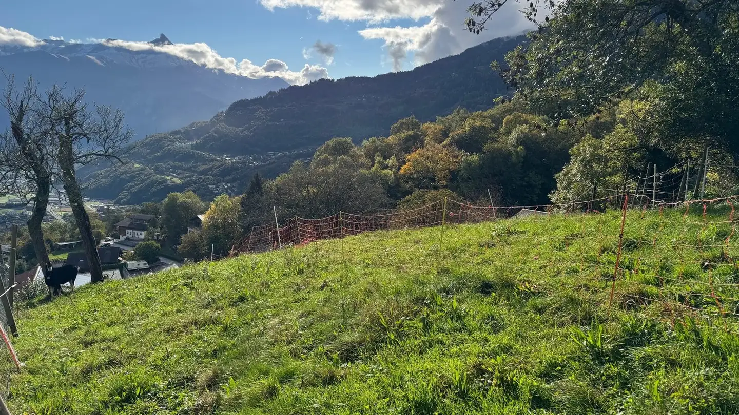 Constructible plot for sale - 1868 Collombey