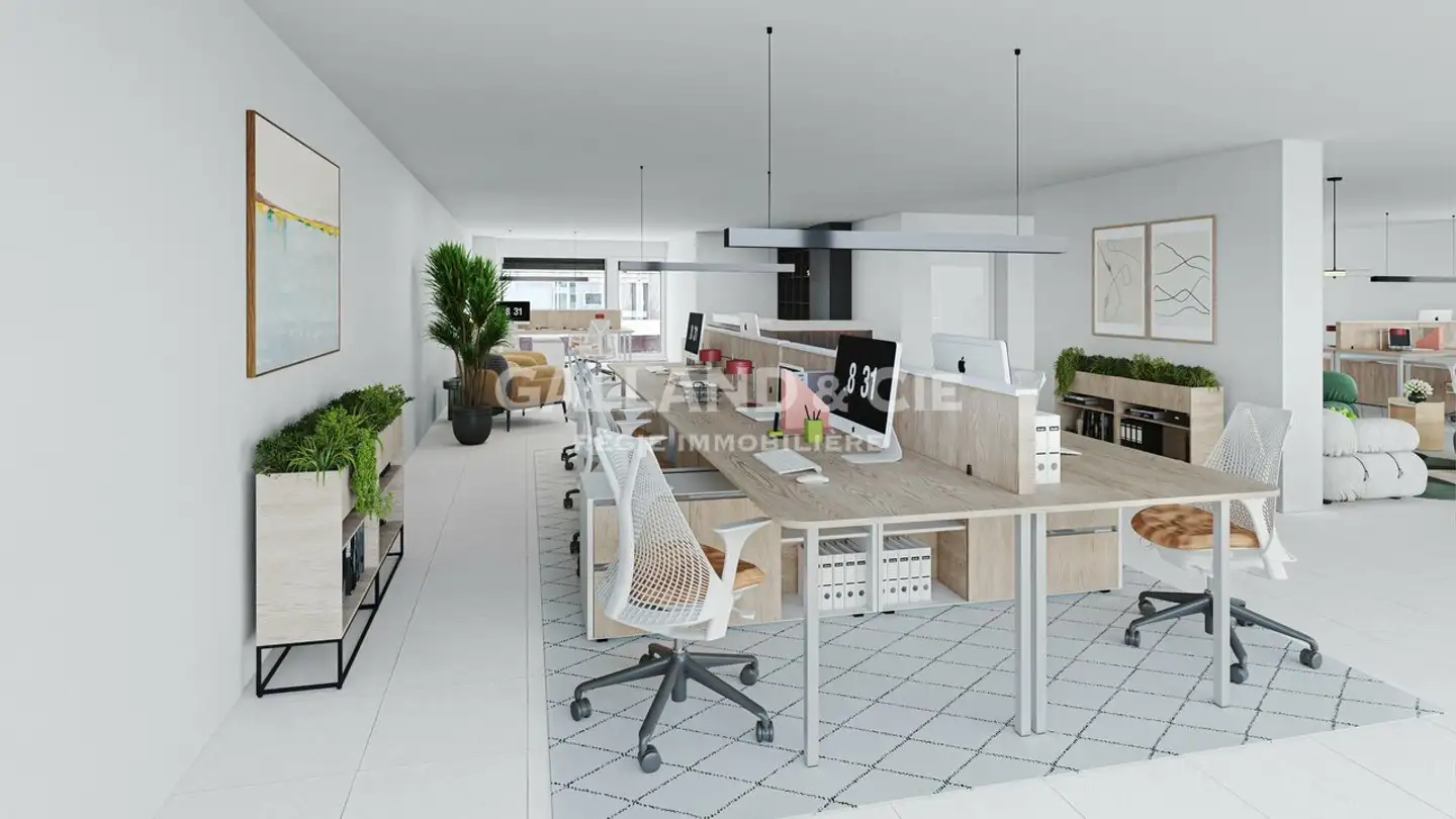 Spazio ufficio in affitto - Champ-De-Lune, 1470 Estavayer-le-Lac - Photo 3