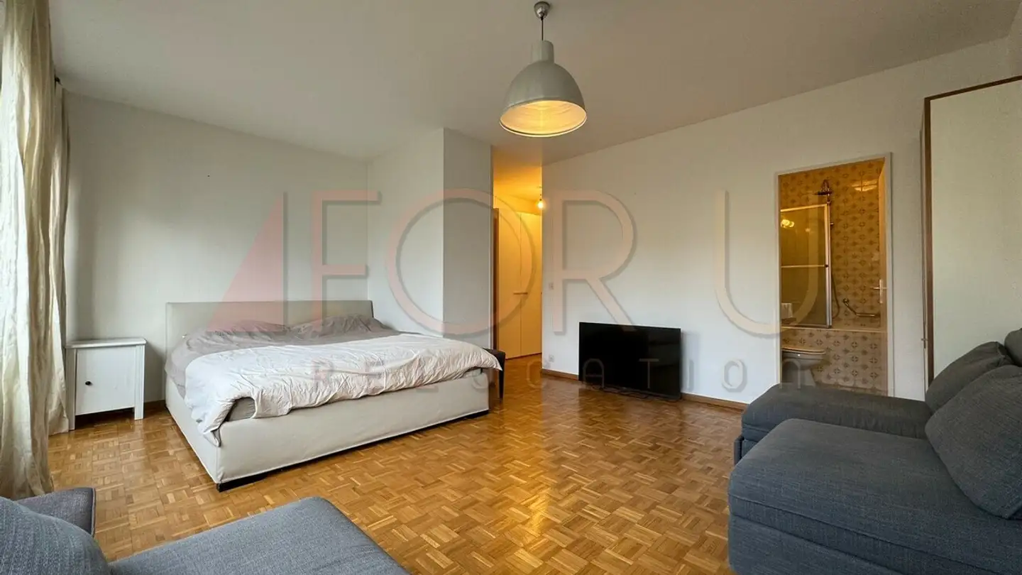 Appartamento in affitto - Chemin Des Crêts-De-Champel 36, 1206 Genève - Photo 2