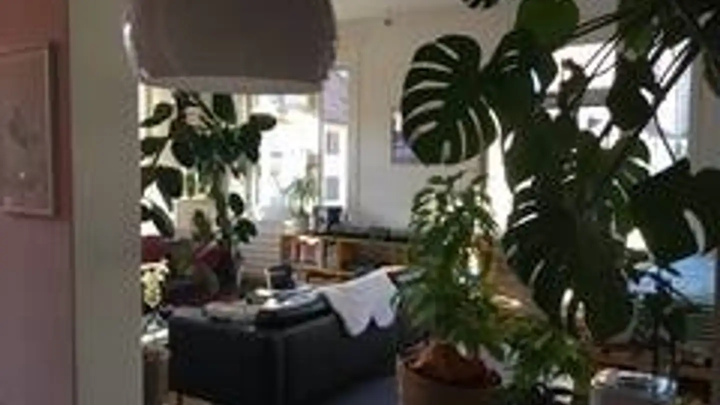 Zimmer mieten - Eglistrasse 8, 8004 Zürich - Foto 4