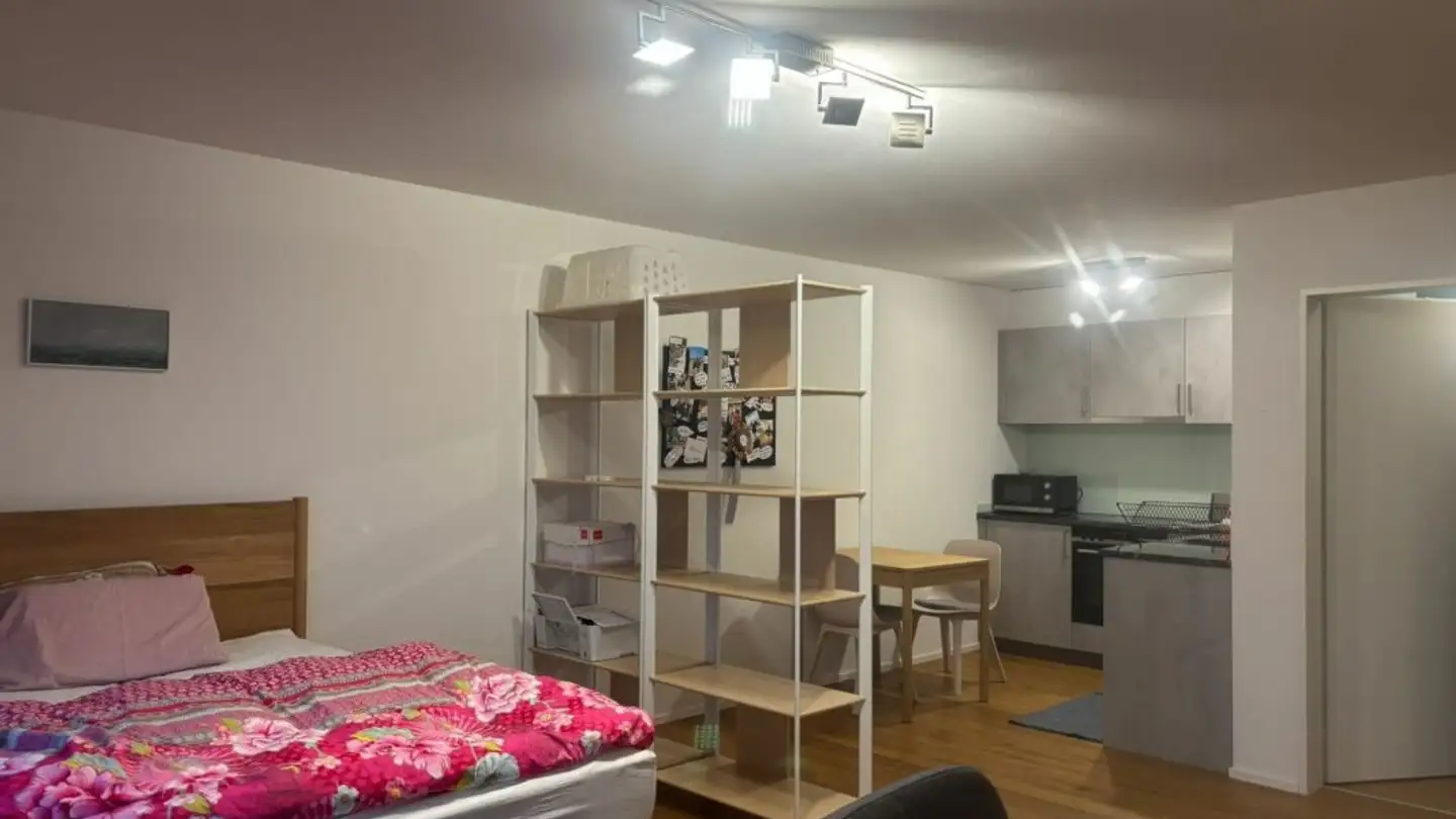 Studio à louer - Rütimattstrasse 2c, 6295 Mosen - Photo 4