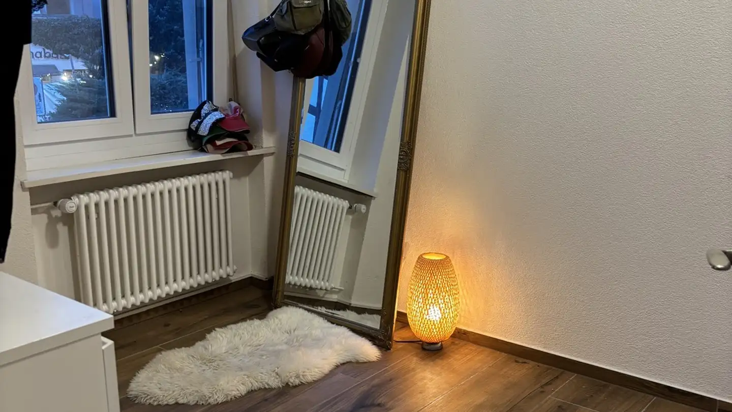 Wohnung mieten - 8400 Winterthur - Foto 4