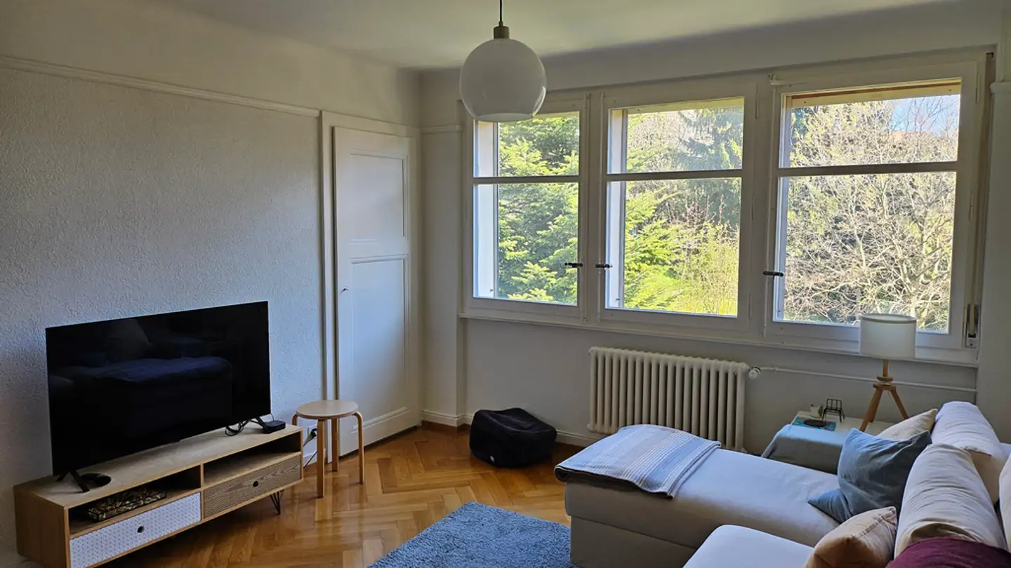Appartamento in affitto - Chemin De Boston 18, 1004 Lausanne - Foto 3
