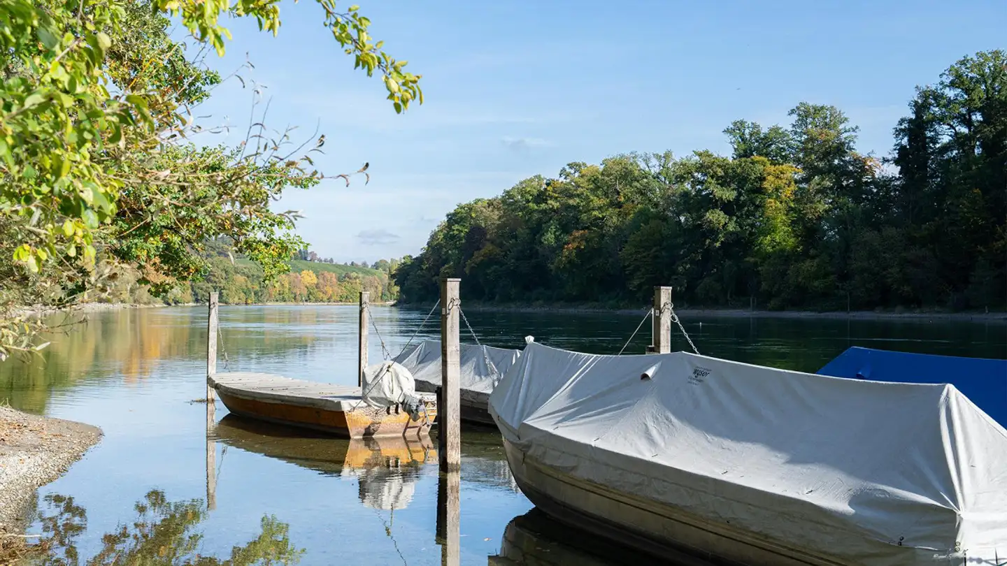 Wohnung kaufen - Dorfstrasse 40, 8239 Dörflingen - Foto 4