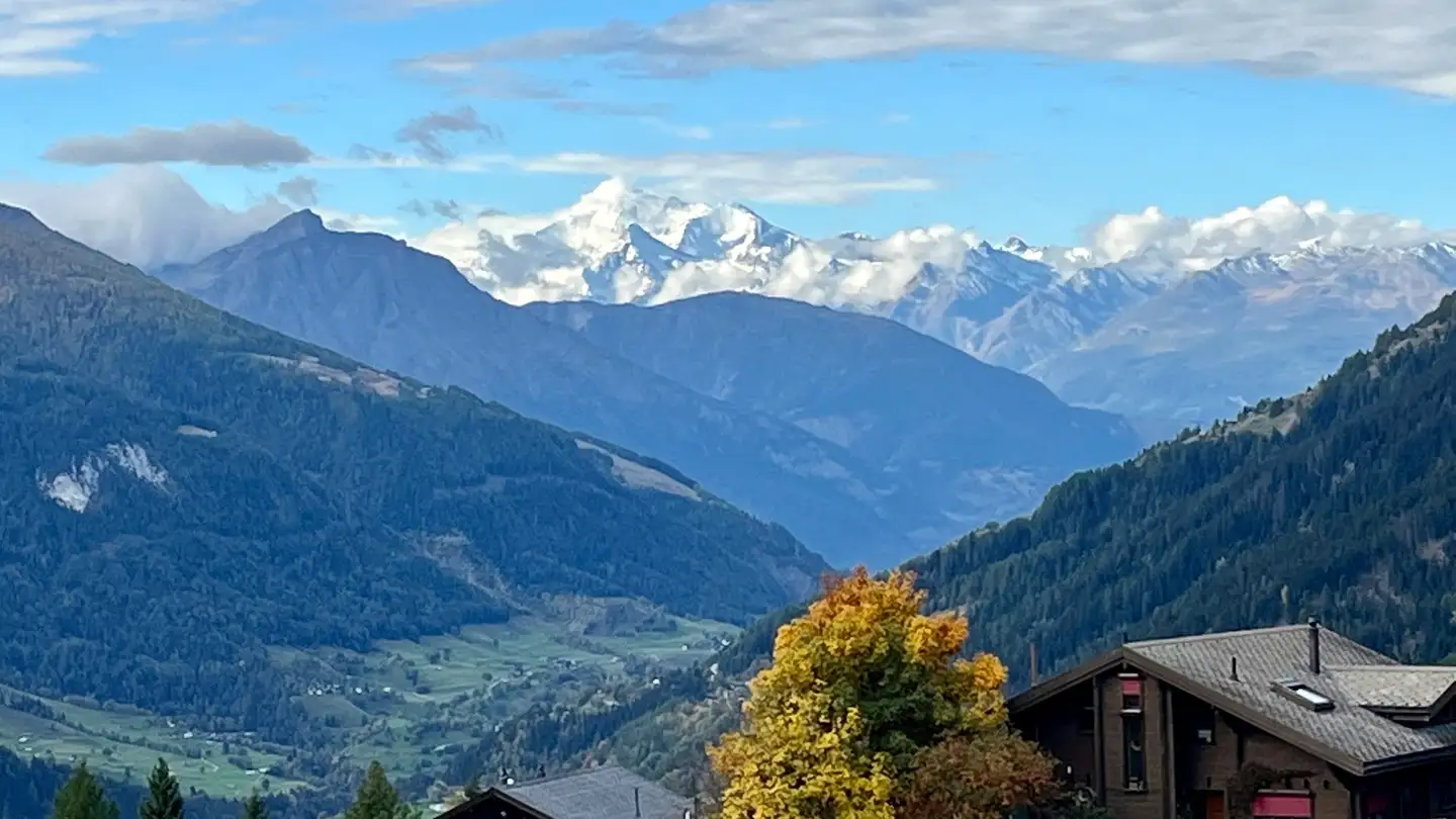 Appartamento in affitto - 3997 Bellwald