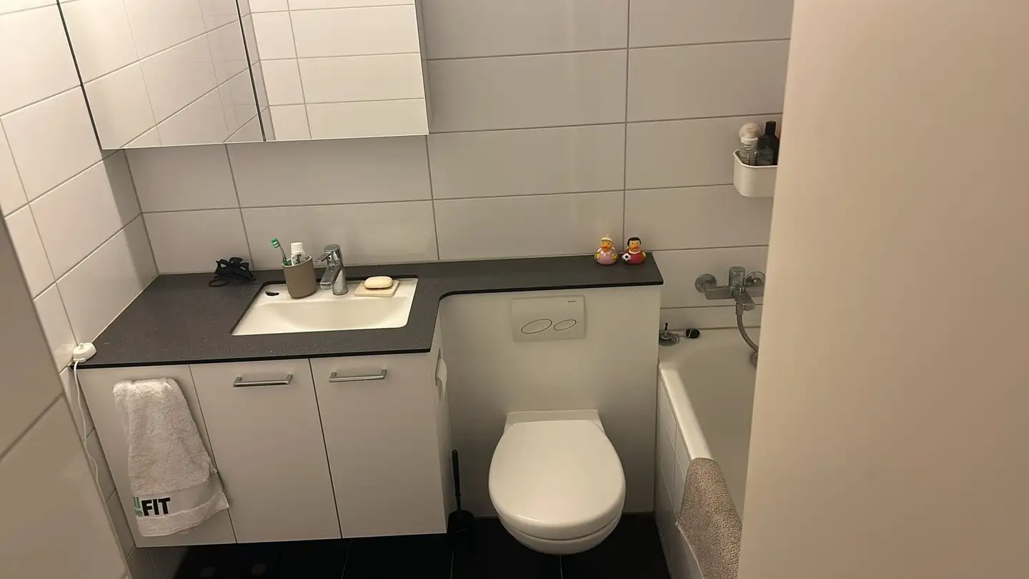 Chambre à louer - 8053 Zürich - Photo 3