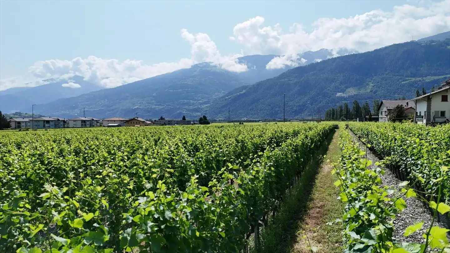 Villa à vendre - 1963 Vétroz