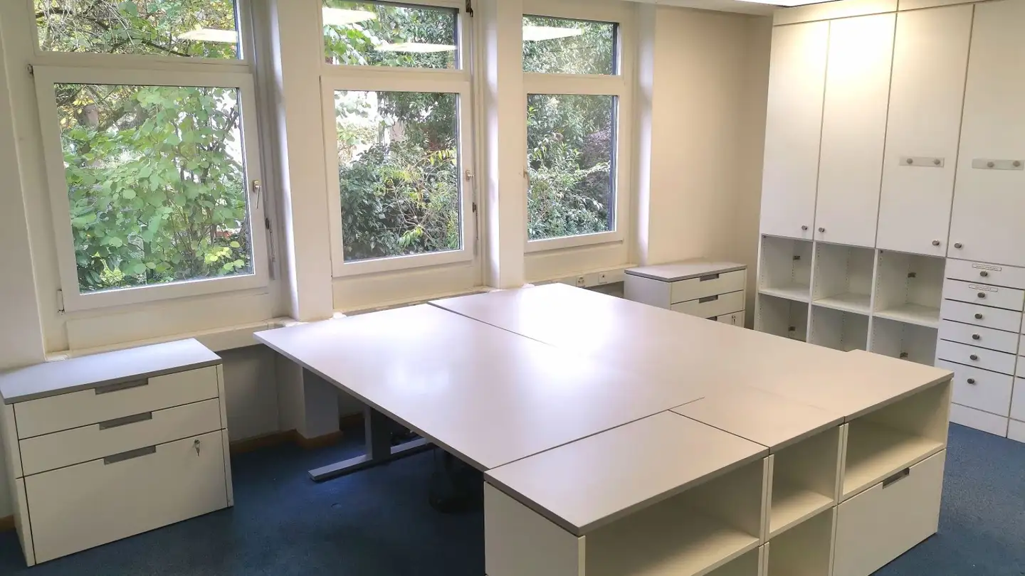 Spazio ufficio in affitto - Emil-Frey-Strasse, 4142 Münchenstein - Foto 3